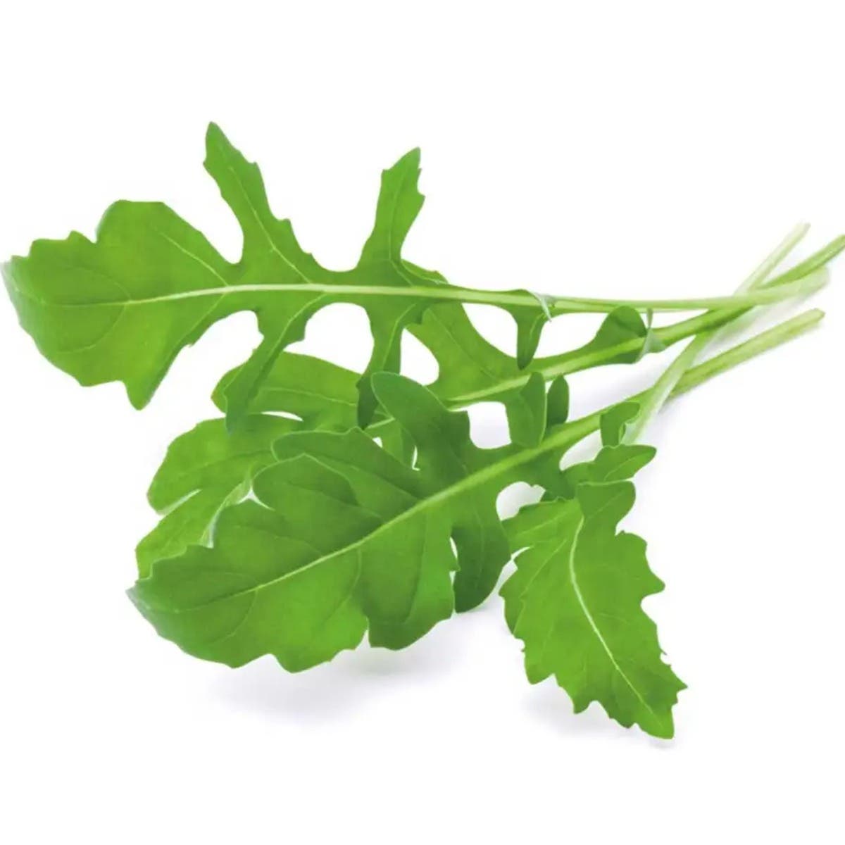 RAMSCO organic arugula leaves