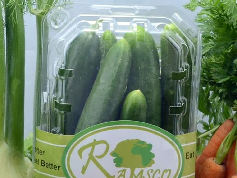 Packed RAMSCO cucumbers