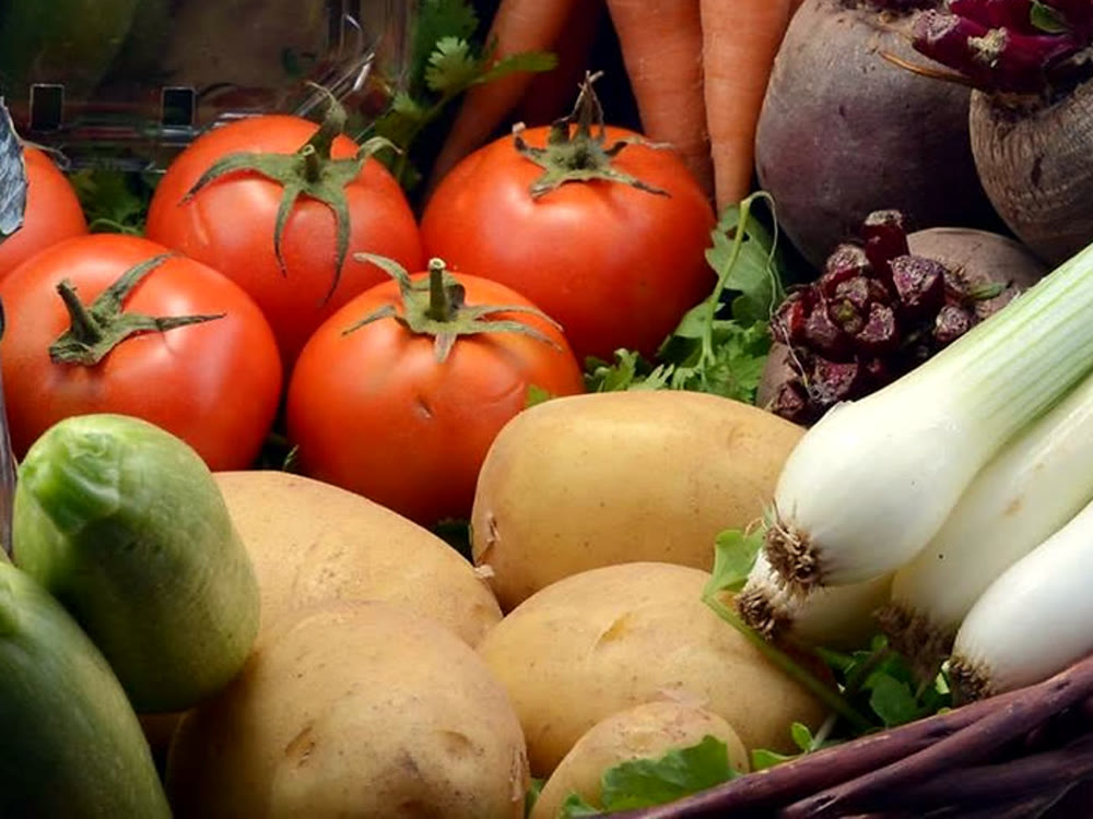 RAMSCO potatoes after harvest