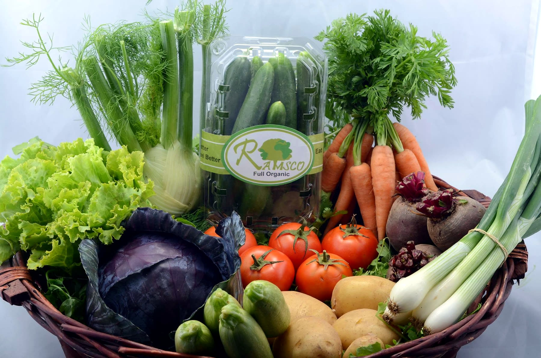 A basket of freshly harvested RAMSCO vegetables - carrots, tomatoes, fennel, cabbage, beets and more