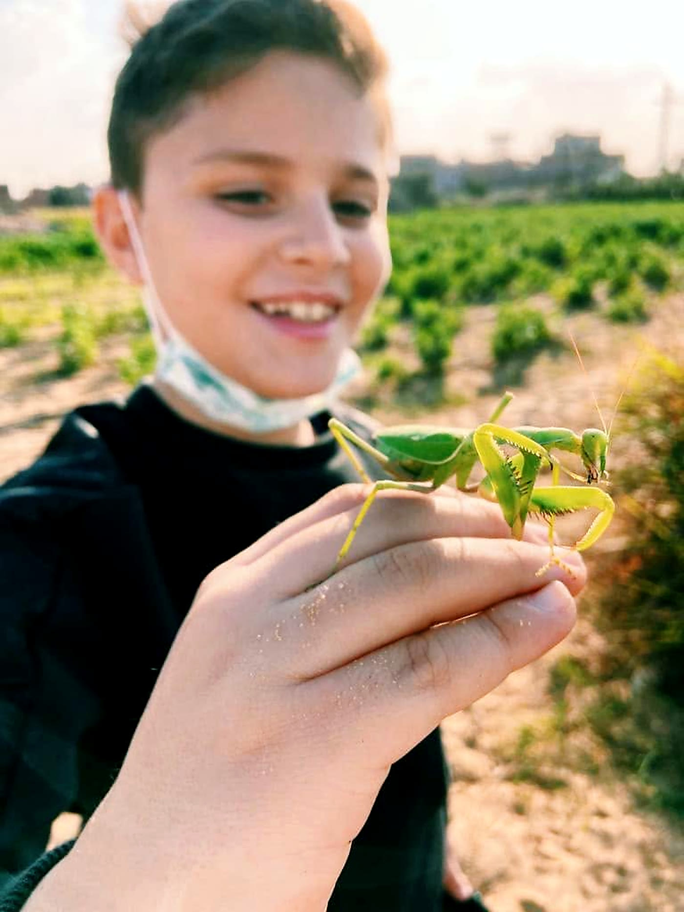 A child at the edge of the RAMSCO farm at golden hour, holding a praying mantis that landed on his hand