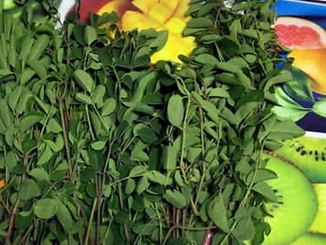Fresh organic herbs grown by RAMSCO