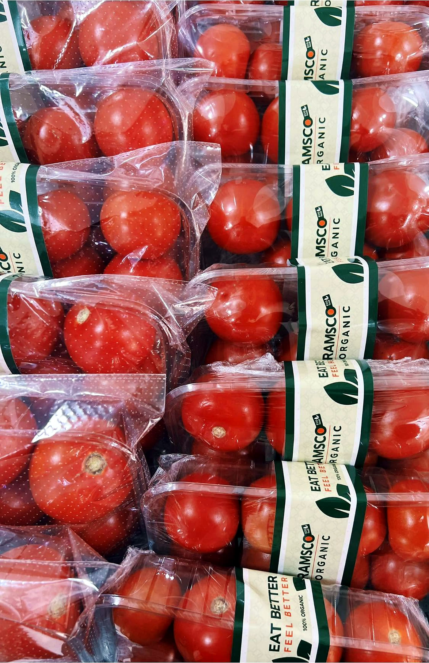 RAMSCO organic cherry tomatoes, packed for market